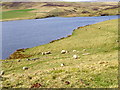 Whiteadder Reservoir