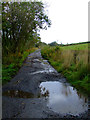 Dirt track near Inverkip