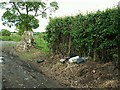 Fly-tipped rubbish in a country lane