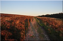 SS8641 : Exmoor : Moorland Path by Lewis Clarke