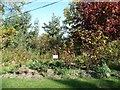 Memorial garden, Cat Hill