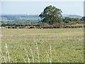 Haigh Common, part of Barnsley