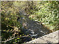 Roebank Burn, Beith