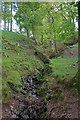 Stream near Todgill