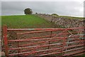 Wall, up and over Windrigg Hill