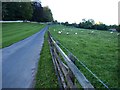 The track to Coombe Lodge from the A368