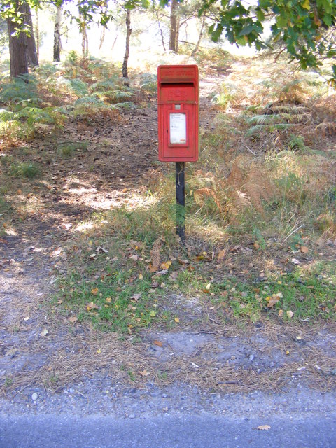 Tangham Forest Postbox