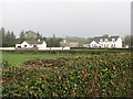 Houses north of the A25 at Tullymurry