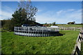 Horse exerciser at a university farm