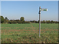 TL4963 : Footpath signpost by John Sutton