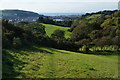 Hillside above Llanbadarn Fawr