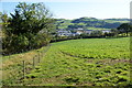 Crops on the side of the Rheidol valley