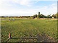 Field by the River Witham