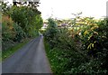 Towards Barkston from Minnett