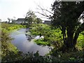 Pond, Ballycloghan