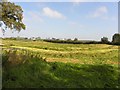 Ballycloghan Townland