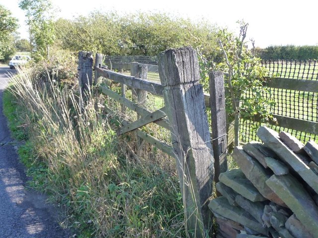 Disused field gate, south side of North Lane