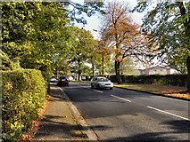SJ8687 : Cheadle Road (A5149) by David Dixon