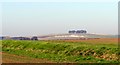 Cultivated fields and disused quarry south of Ludborough