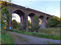 SJ8787 : Railway Viaduct, Lady Bridge by David Dixon