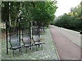 Benches on the Russia Docks Woodlands path