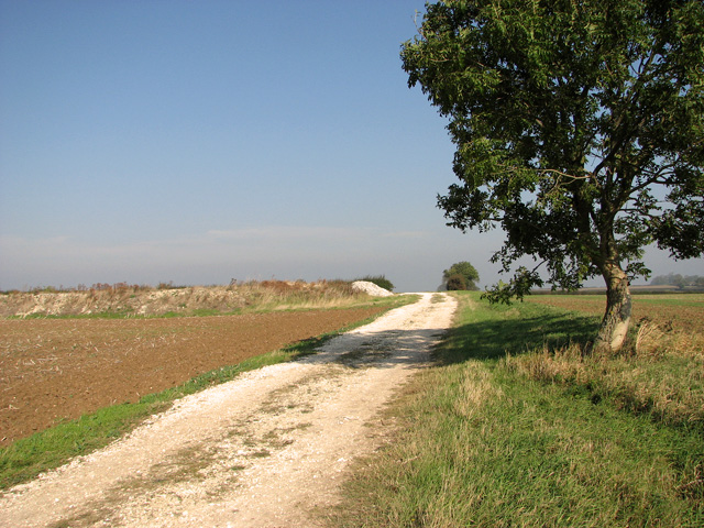 Farm Track East Of The Chalk Pit, South... © Evelyn Simak Cc-by-sa/2.0 ...