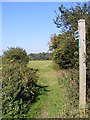 Bridleway to Bussocks Wood