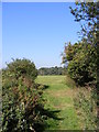 Bridleway to Bussocks Wood