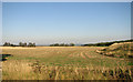 Cultivated fields north of Norton Place Cottages, Caenby Corner