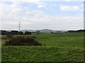 Grassland, Auchincloch