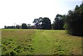 Footpath to Forest Green