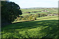 Hillside above Tyncwm