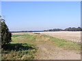 Bridleway to Hollesley Road, Shottisham