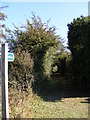 Bridleway to Lodge Road