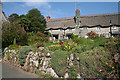 Holbeton: thatched cottages at Mothecombe