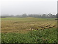 Undulating farmland south of the Ballykeel Road