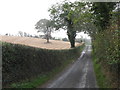 Harvested field on a drumlin slope above the Tobercorran Road