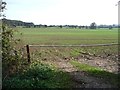 Large field east of Hazel Lane