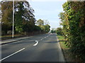 Main Road (A63) Hambleton