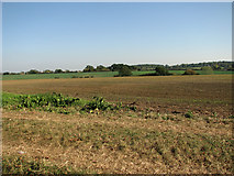 TM3061 : Cultivated fields east of Parham Wood, Parham by Evelyn Simak