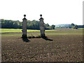 Disused gateposts south of Parham House, Parham