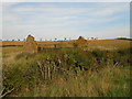 Ruined Farm Building