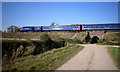 SU4391 : Train Over Ardington Lane by Des Blenkinsopp