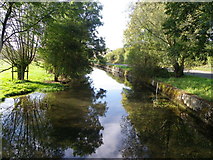 SU0425 : River Ebble, Broad Chalke - 2 by Maigheach-gheal