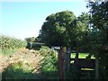 Footpath near Woodford Bridge