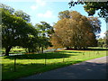 Amesbury - Alongside The Avon