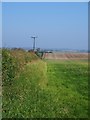 Footpath to Newby Wiske