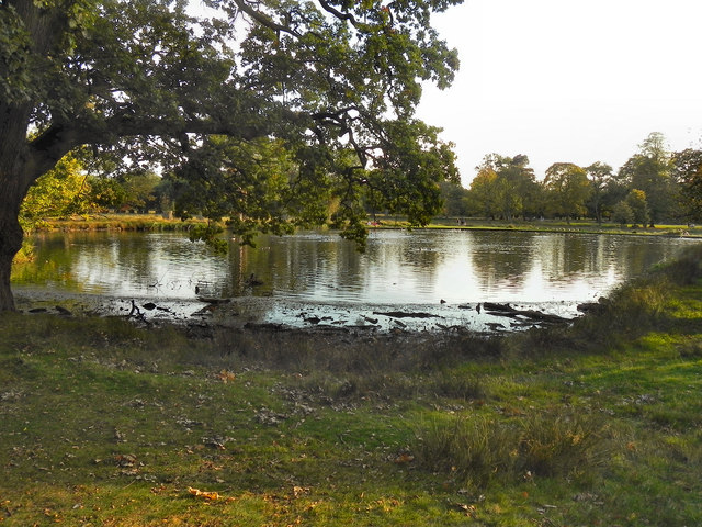 Smithy Pool, Dunham Park © David Dixon cc-by-sa/2.0 :: Geograph Britain ...