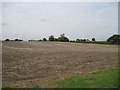 Harvested  Field  north  of  Tadcaster