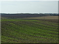 Farmland off Finkle Hill